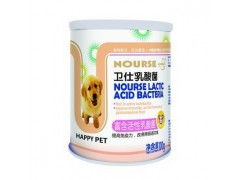 廈門寵物藥品與用品指南 從“狗哥”到“廈門南洋”的消費選擇